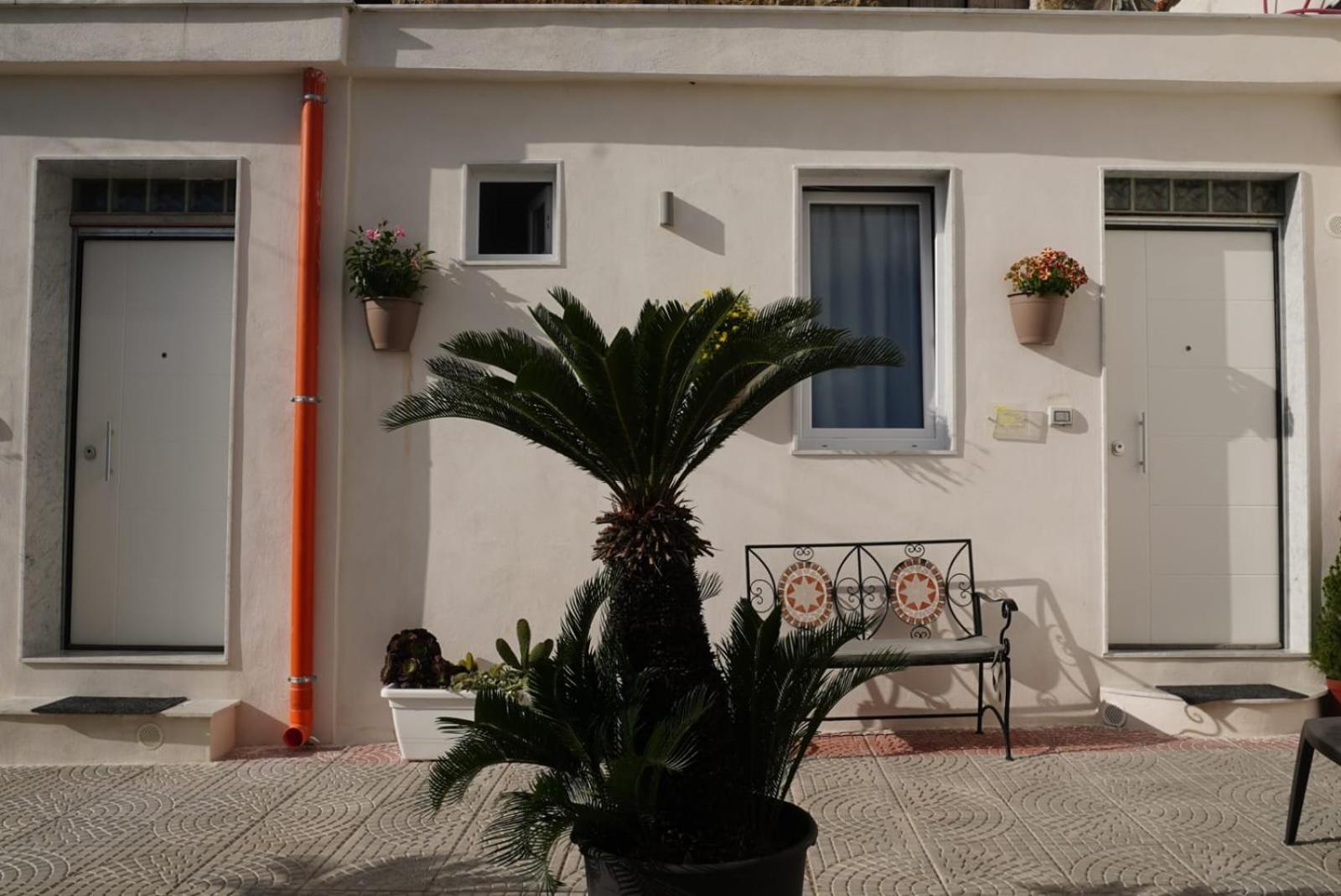 Vesuvio Capodichino Appartement *